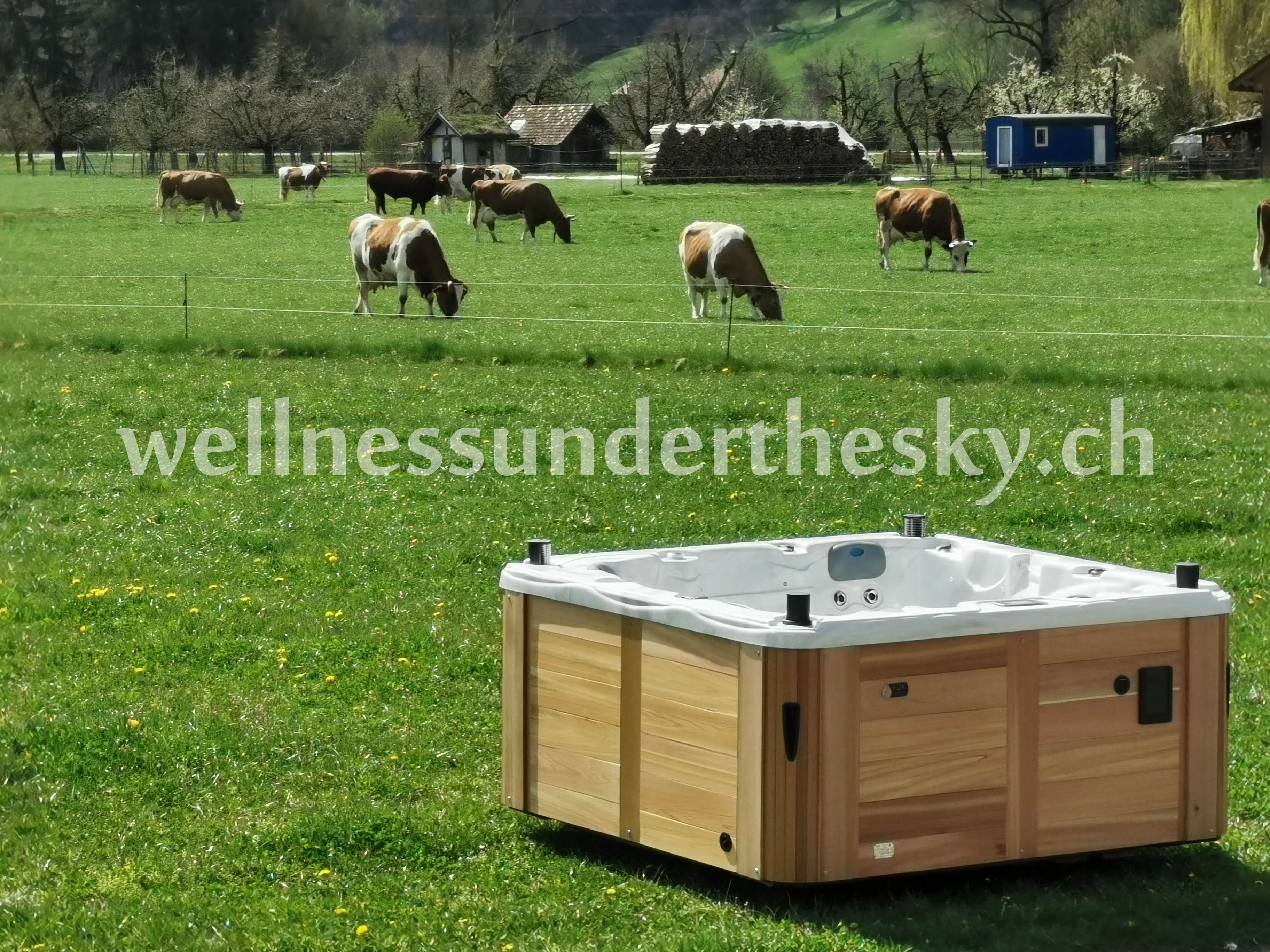 Outdoor Whirlpool Schweiz kaufen