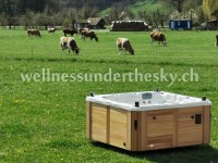 Outdoor Whirlpool Schweiz kaufen